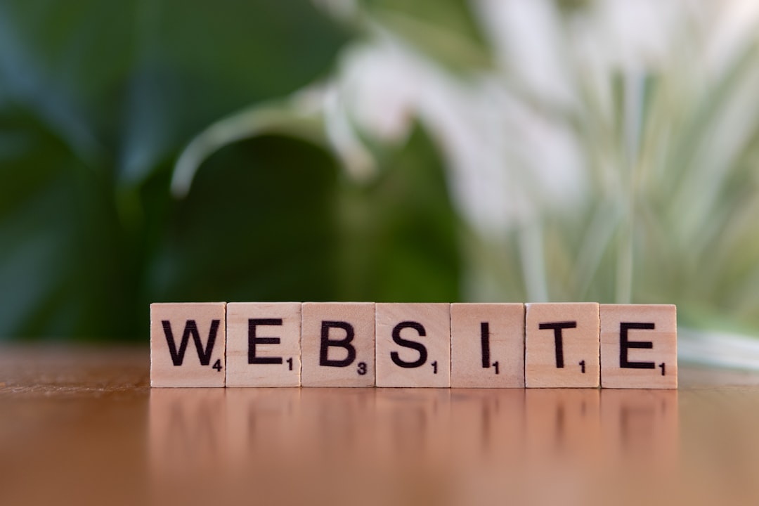 Betydningen af Professionel Webhosting: Optimér Din Online Tilværelse med Et Webhotel Danmark