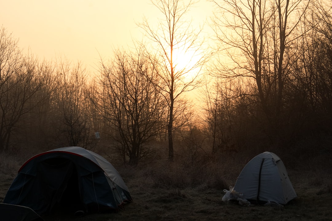 Uforglemmelige Ferieoplevelser i Campinghytter på Esbjerg Camping